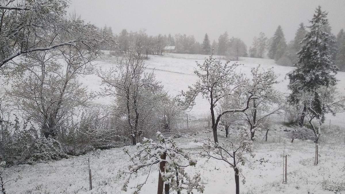 zapada romania aprilie