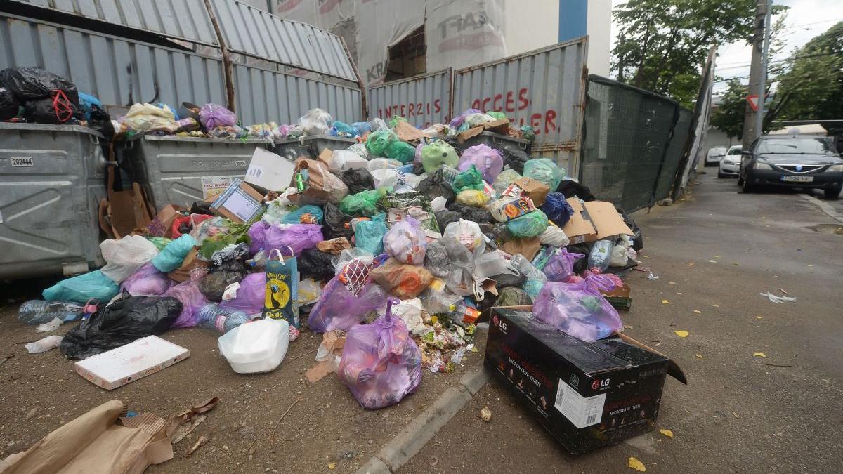 primaria clotilde armand nu a cerut niciun leu mediu gunoaie