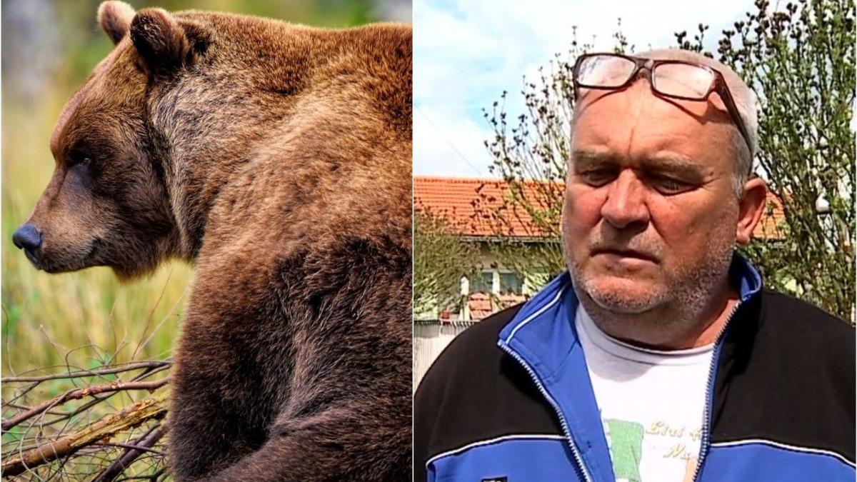 oameni inmormantare fugariti urs mures