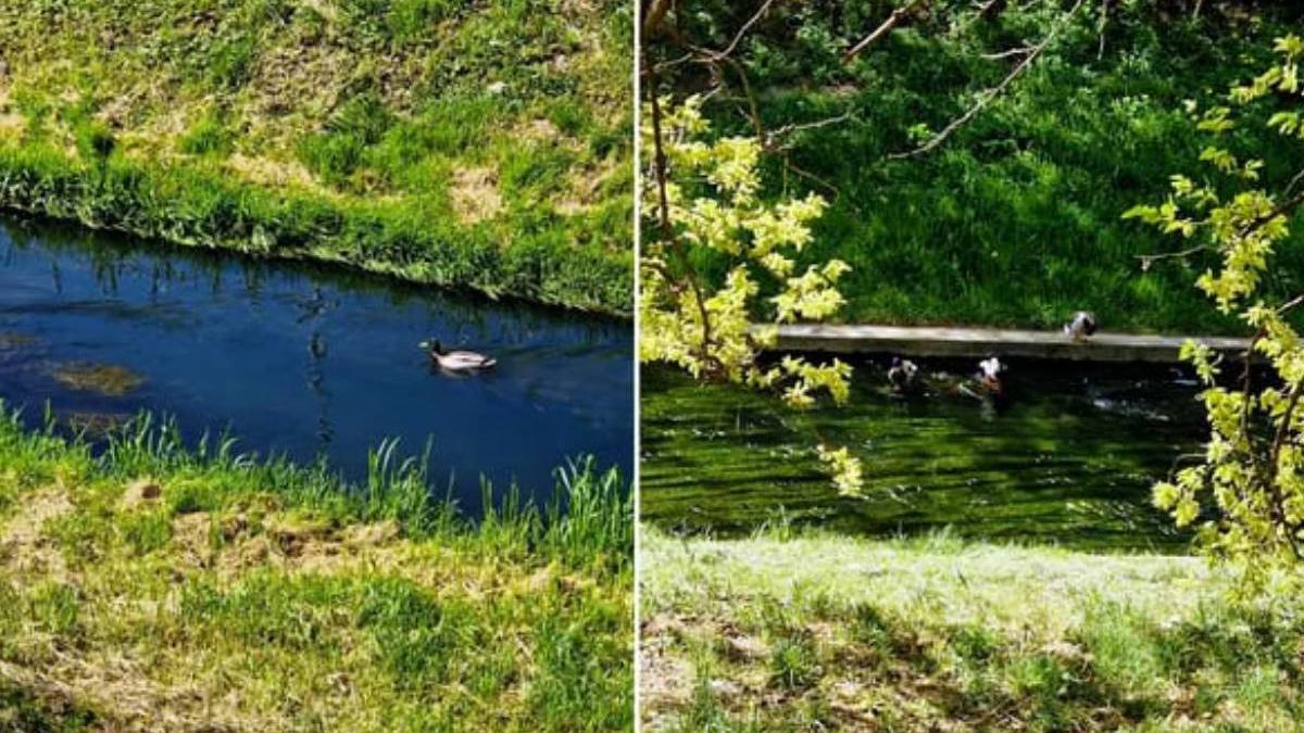 parau termal romania apa 30 de grade celsius oradea