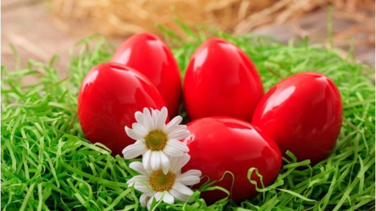 oua rosii paste frigider probleme sanatate termen