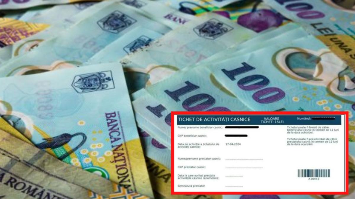 lege guvern compatere munca la negru tichete de activitati casnice