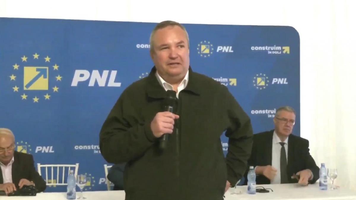 nicolae ciuca vizita dolj alegeri pnl