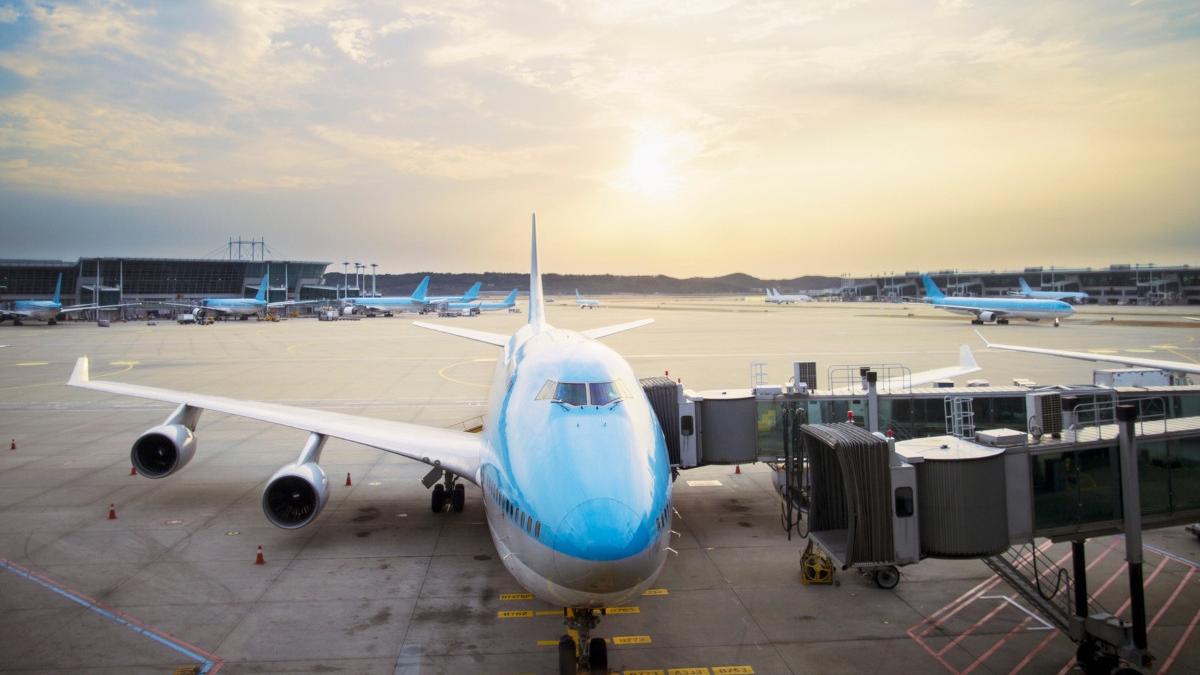 aeroport international nou tulcea inaugurare ministerul transporturilor