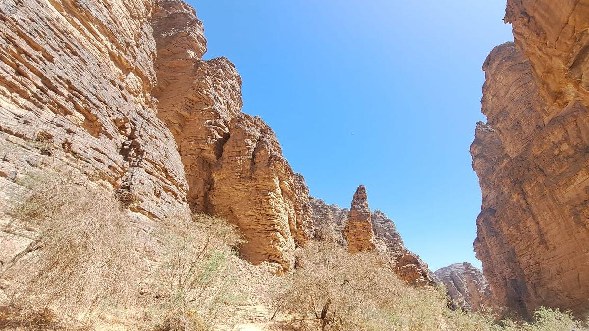 experienta unica sahara algeriana