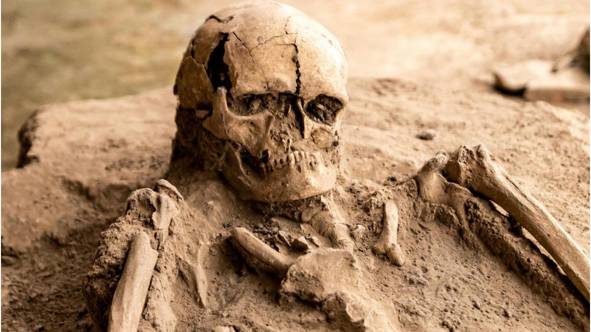 schelete umane descoperite spital vaslui