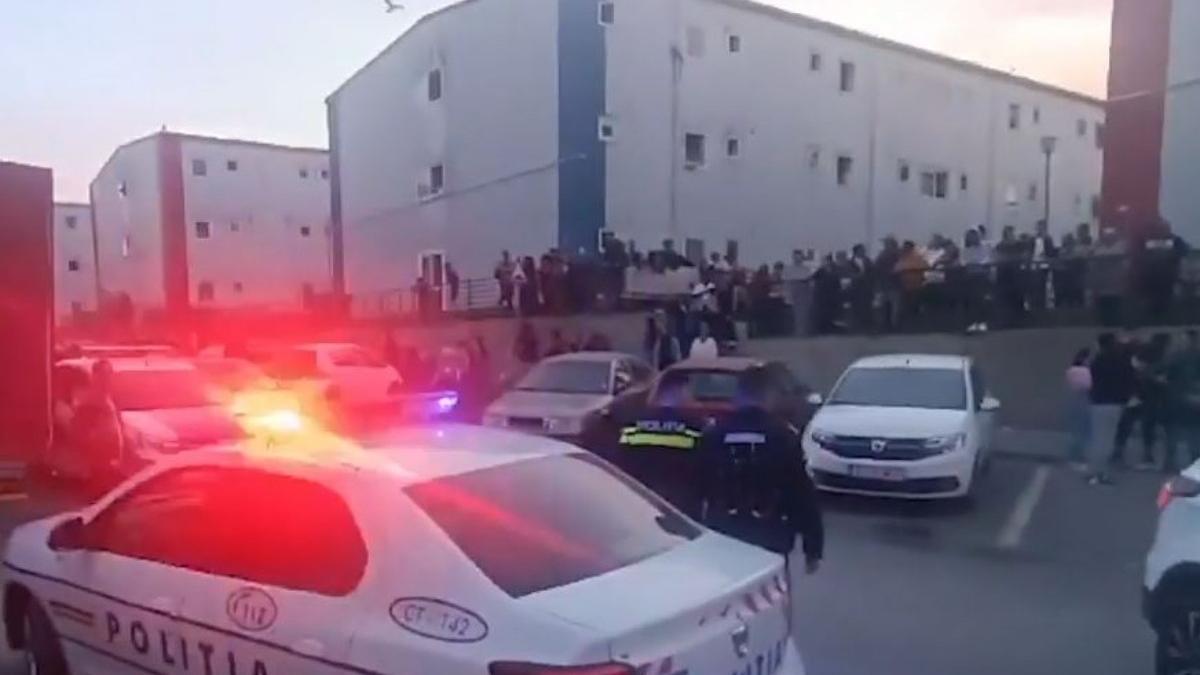 atac sabii macete constanta petrecere florii