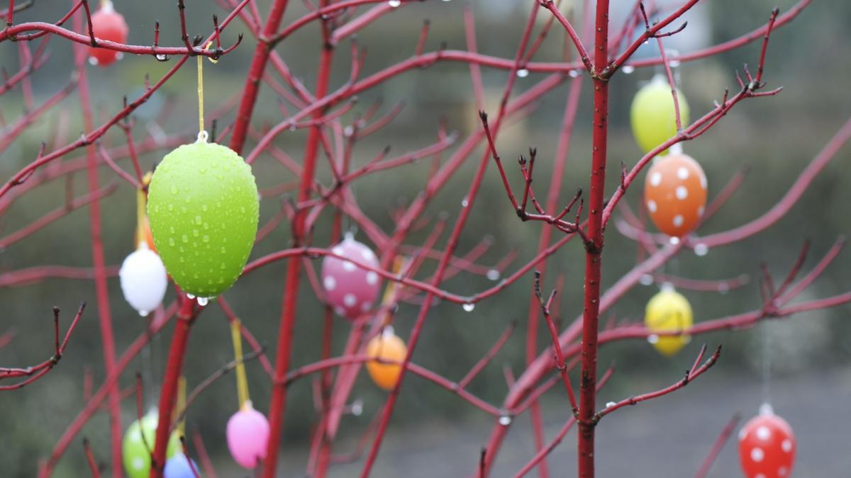 elena mateescu prognoza meteo anm vremea