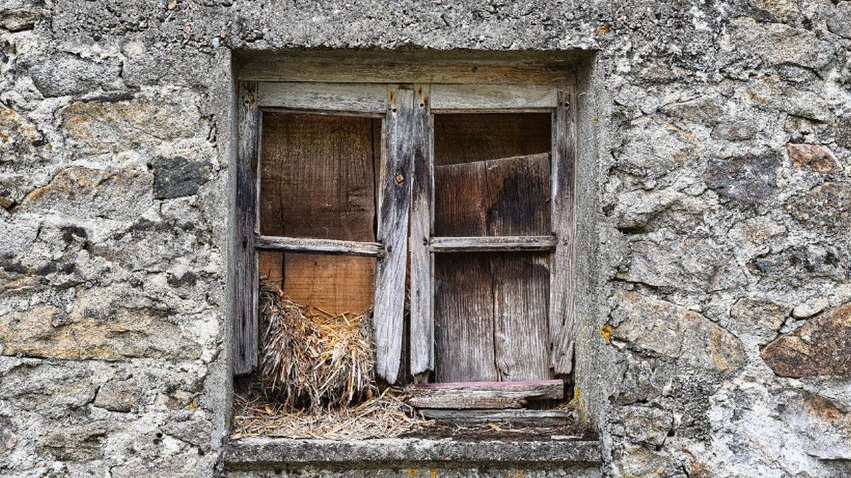 locuinte neocupate decese batrani japonia