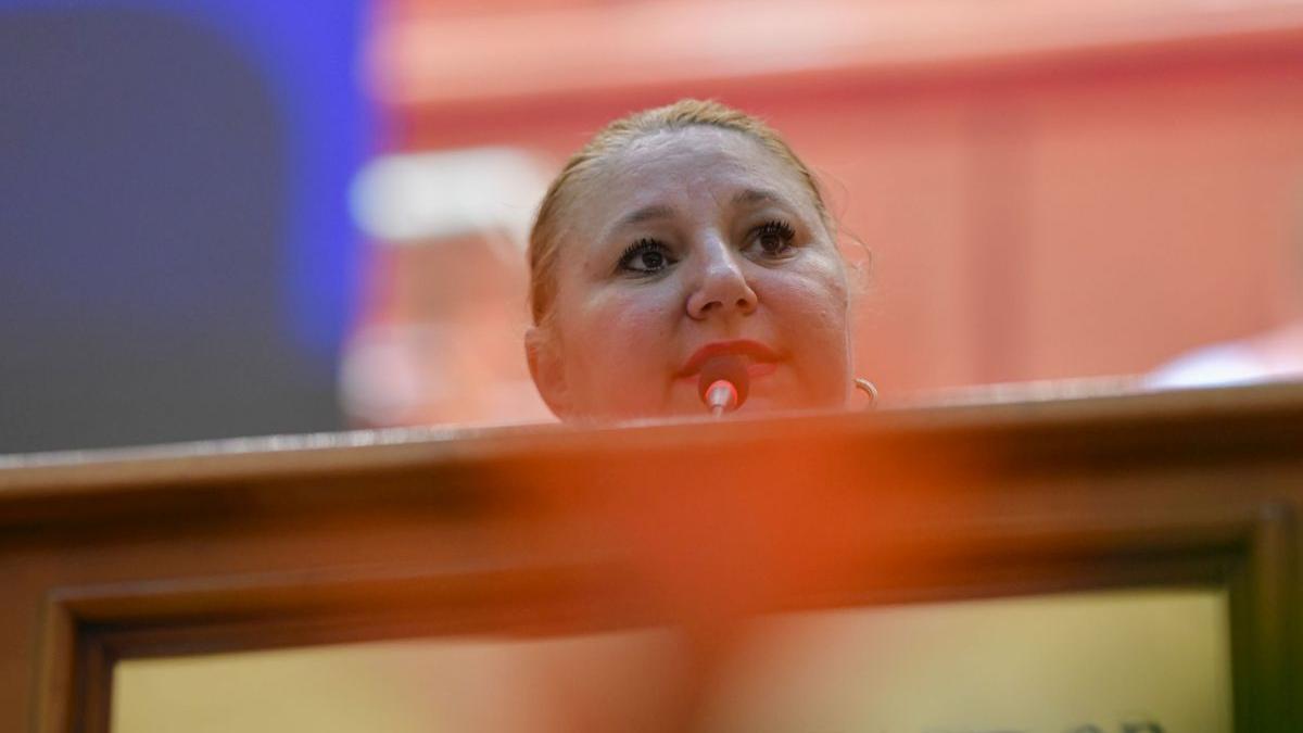 diana sosoaca candidat primaria capitalei