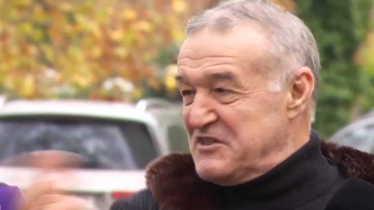 lovitura gigi becali saptamana mare partid politic
