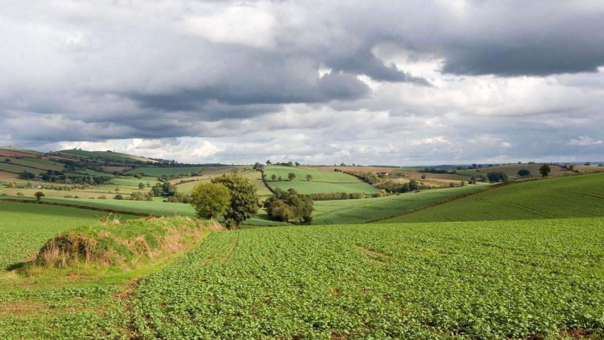 reguli noi vanzare terenuri impozit obligatoriu