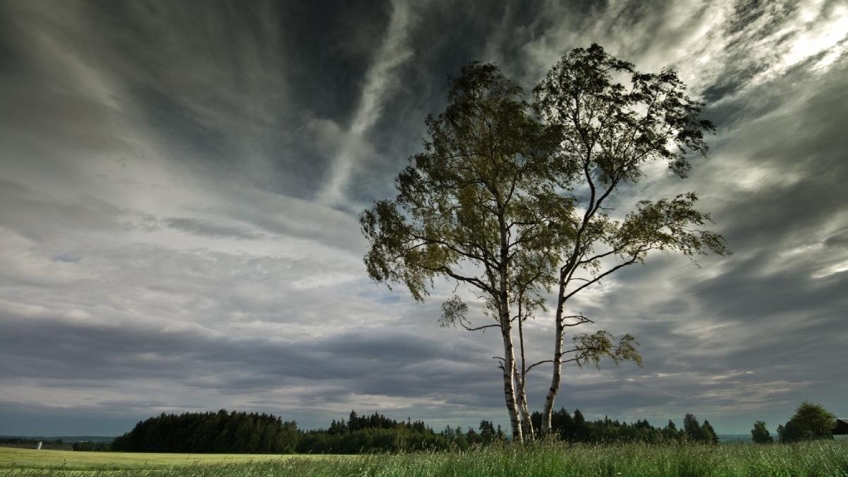 alerta meteo emisa anm judete romania avertizare cod galben 4 mai 2024