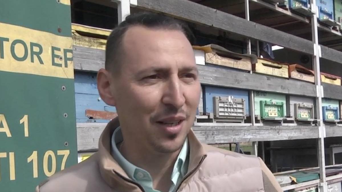 cosmin herta roman apicultura miere