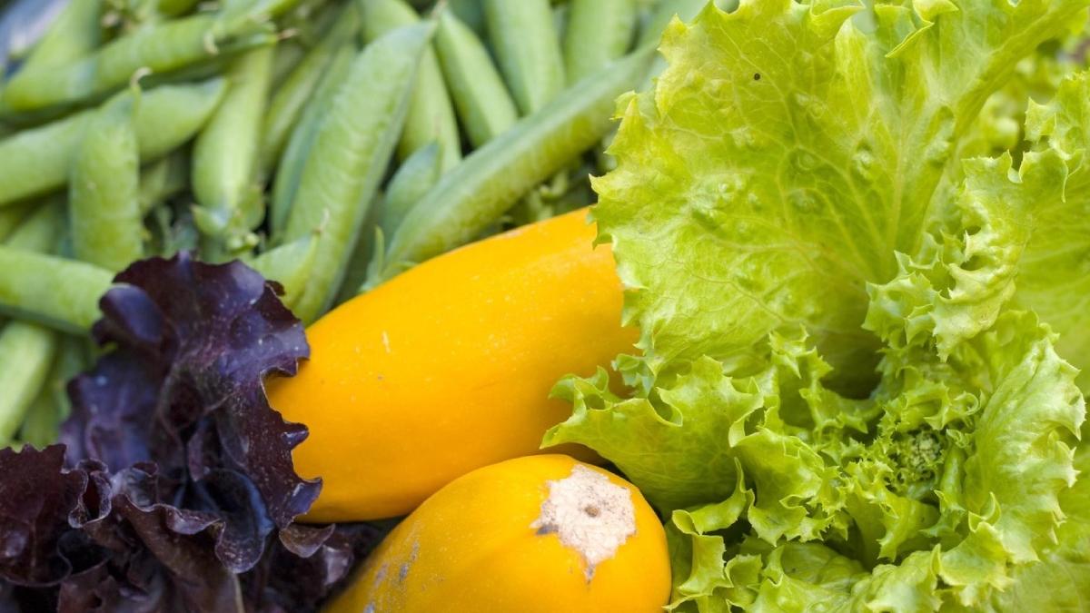 dieta verde incetineste evolutie cancer prostata studiu