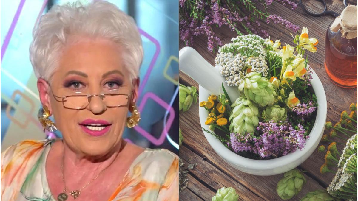 planta ajuta probleme ficat leacul zilei lidia fecioru