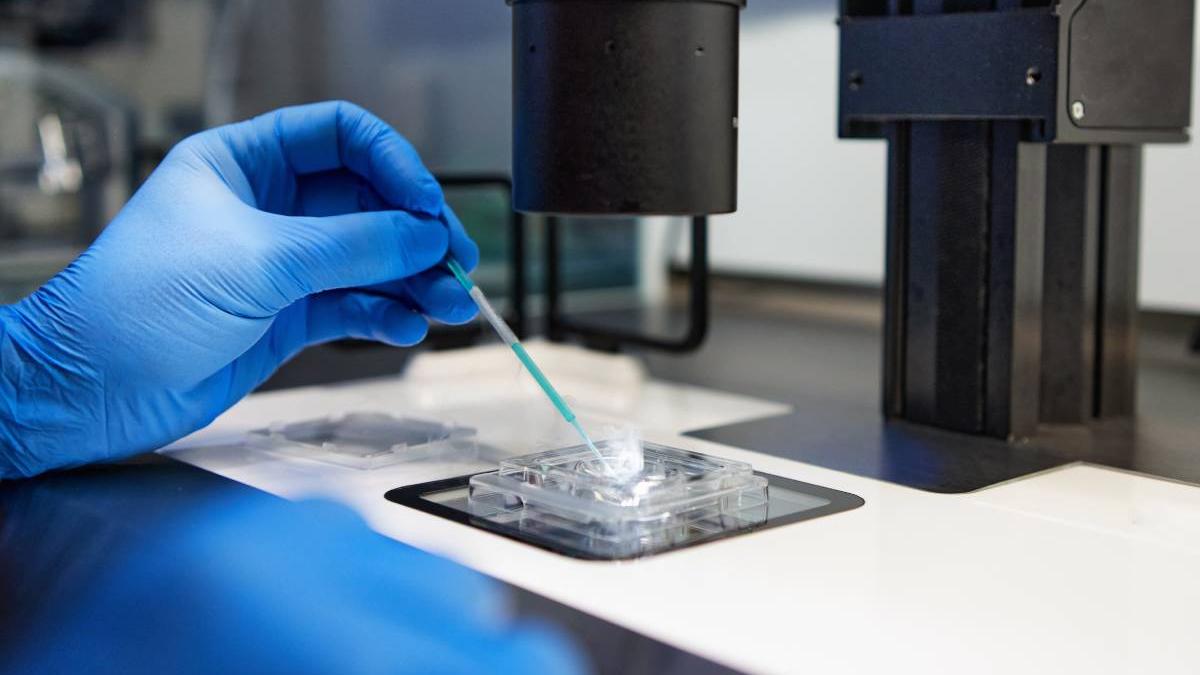 rezultate fetita bunica murit peste bacterie