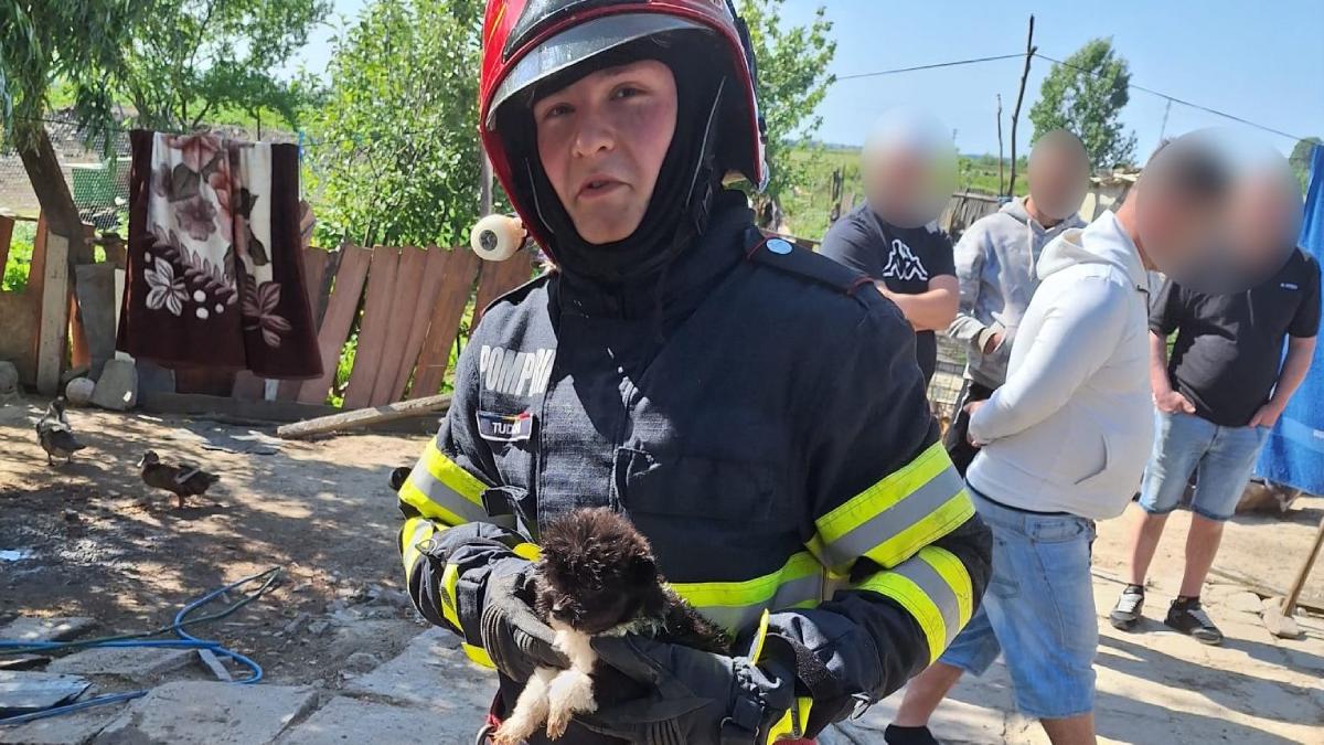 a doua zi paste minune pompieri tulcea salvat catei incendiu