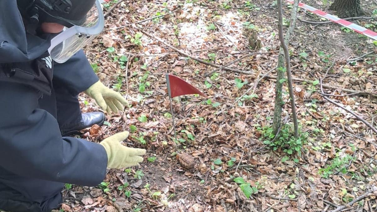 grenada de mana defensiva barbat apel 112 plimbare familie padure botosani