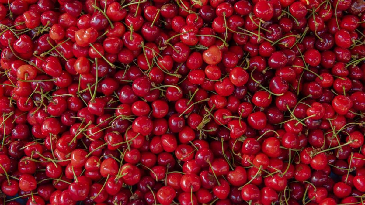 localitatea romania pret cirese de trei ori mai ieftin prahova