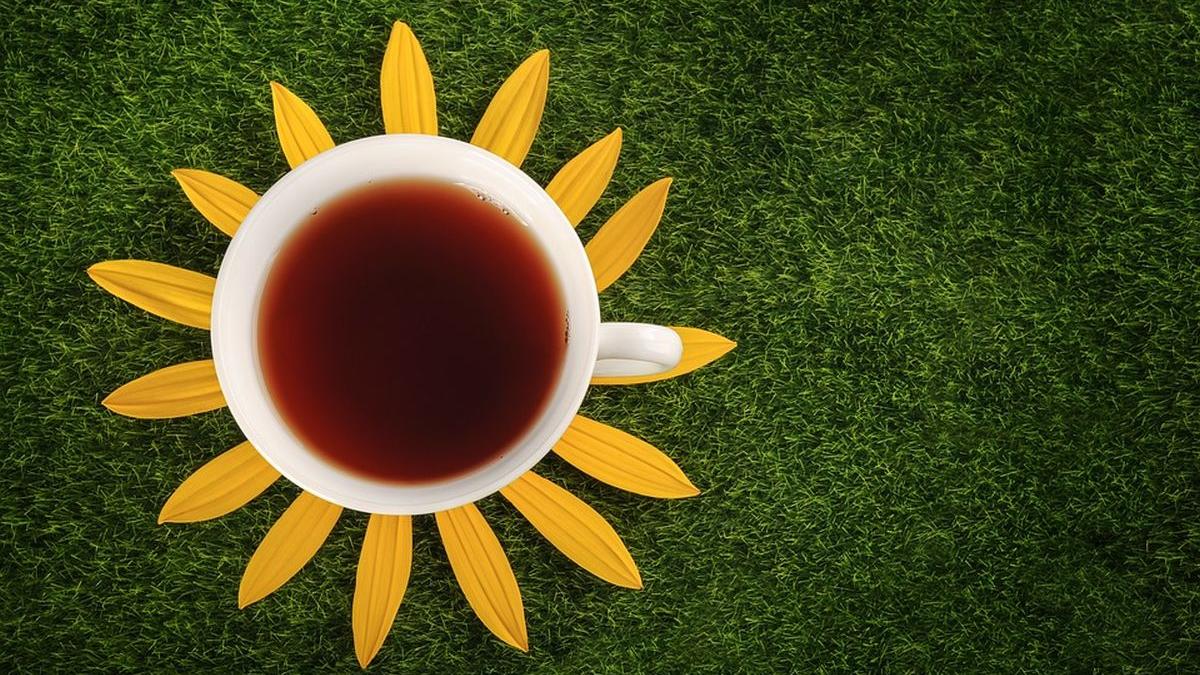 ceai semifermentat ajuta digestie mese paste relaxeaza fara somnolenta