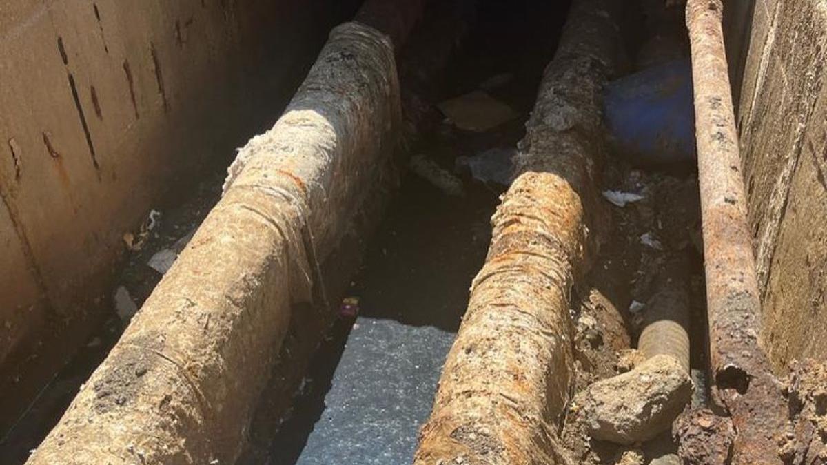 sebastian burduja candidat pnl primaria bucuresti haideti sa aratam primarului nicusor dan