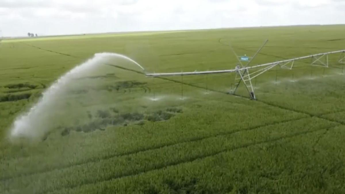 florin barbu vizita avi ditcher obiective investitii ialomita constanta