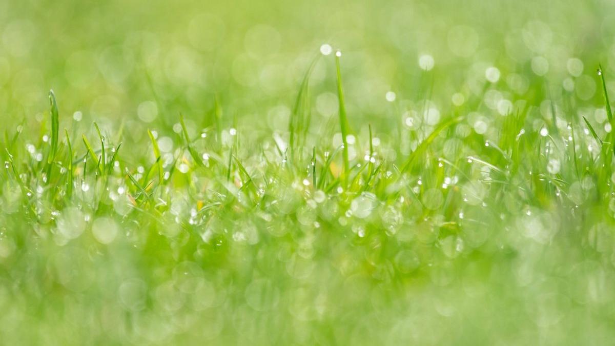 oras primaria transforma balta parc 20 milioane euro exproprieri