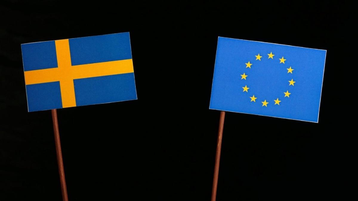 tara europeana control frontiera interna atentionare calatorie romani mae