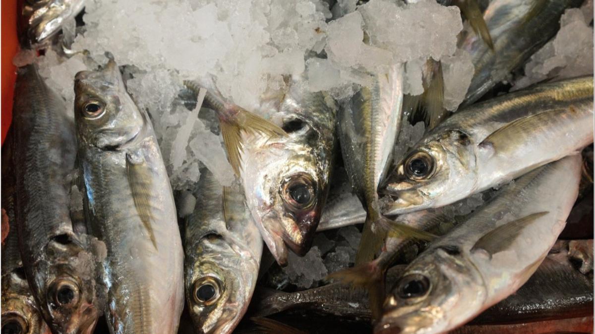 tone peste preparate peste vanzare comisari anpc