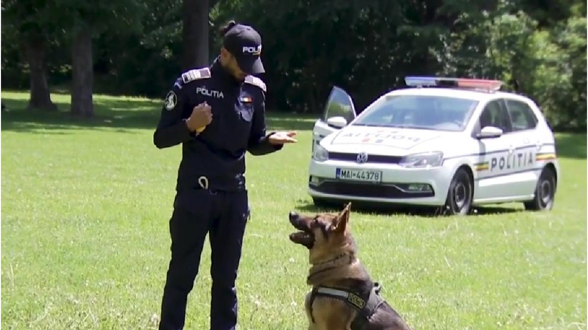 concurs admitere agenti de politie 1 600 posturi