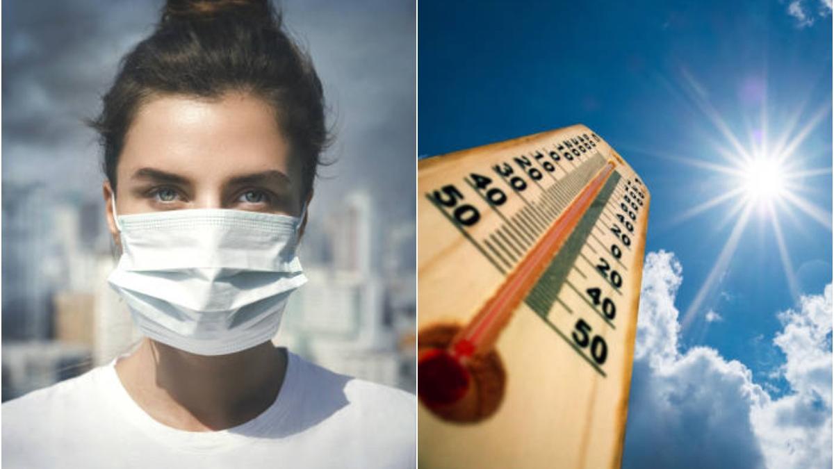 schimbari climatice boli infectioase