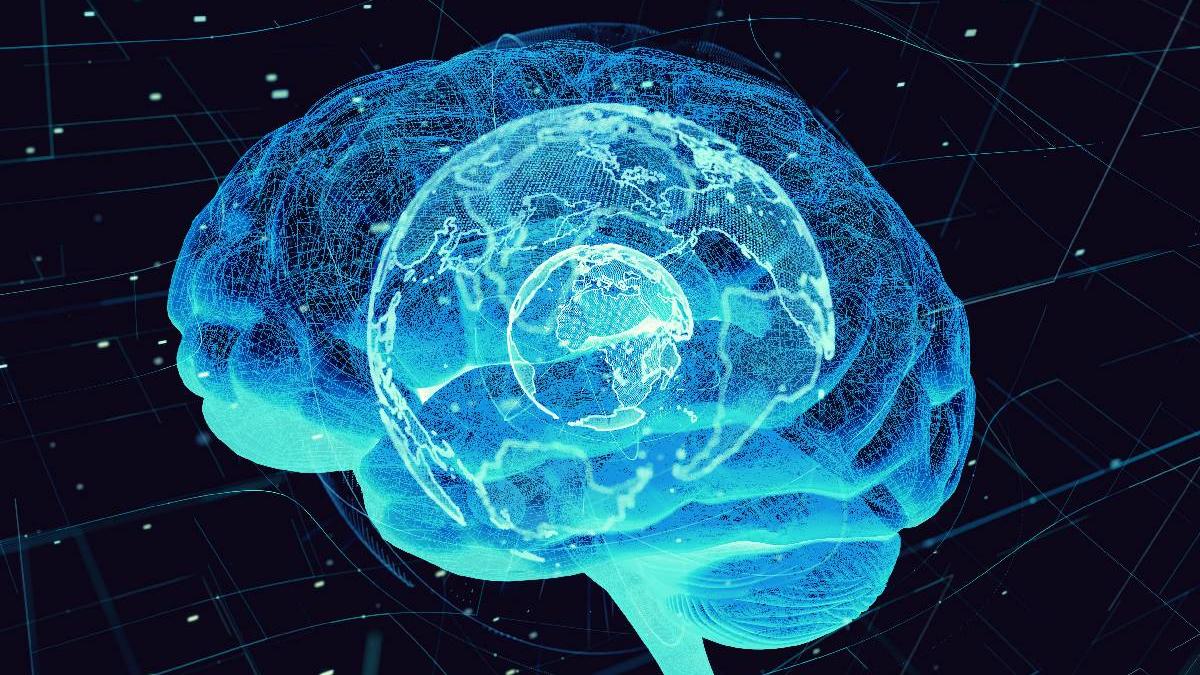 harta creier detaliata harvard google