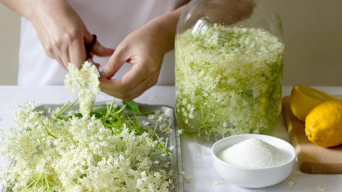 sirop de soc iarna gust proaspat sezonul rece