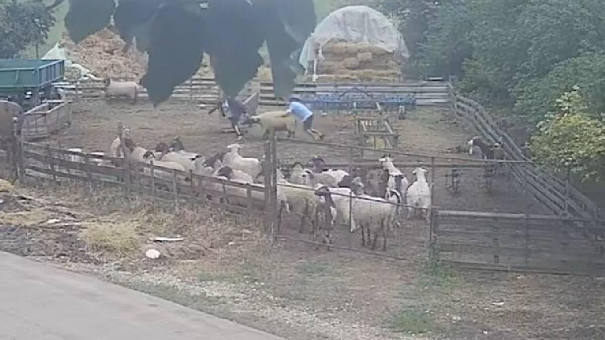 hoti stana oi furate