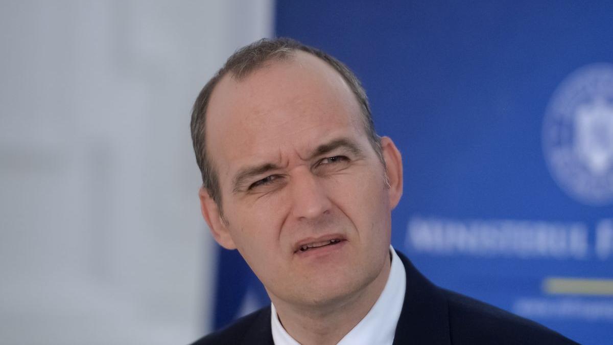 fost ministru sanctiune batut deputat florin roman