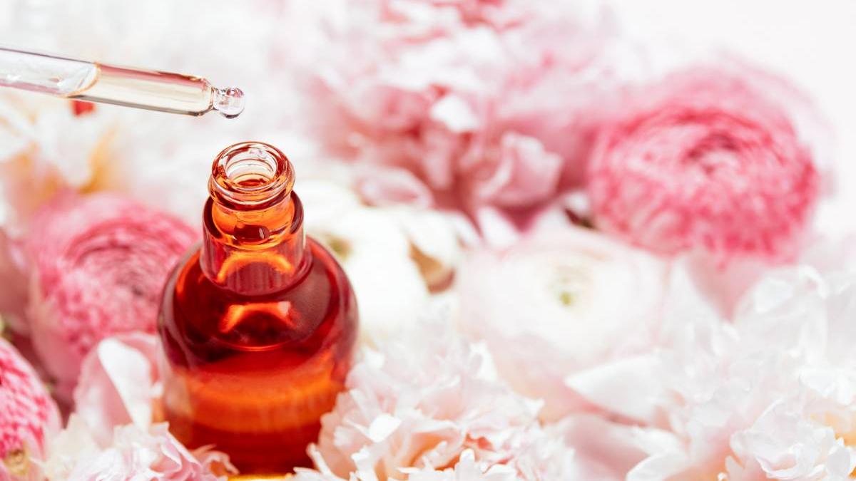 planta cel mai vechi parfum din lume trandafirul de roca aclimatizat buzau