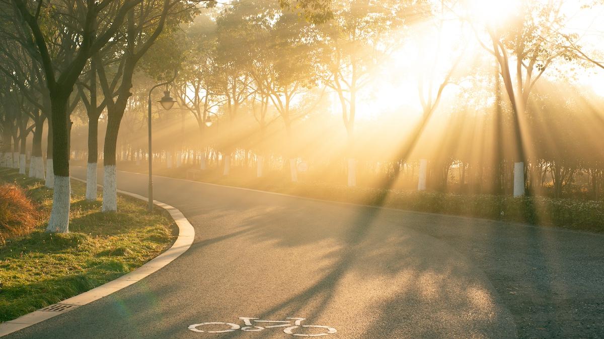 prognoza meteo anm vremea 20 mai 7 iunie 2024