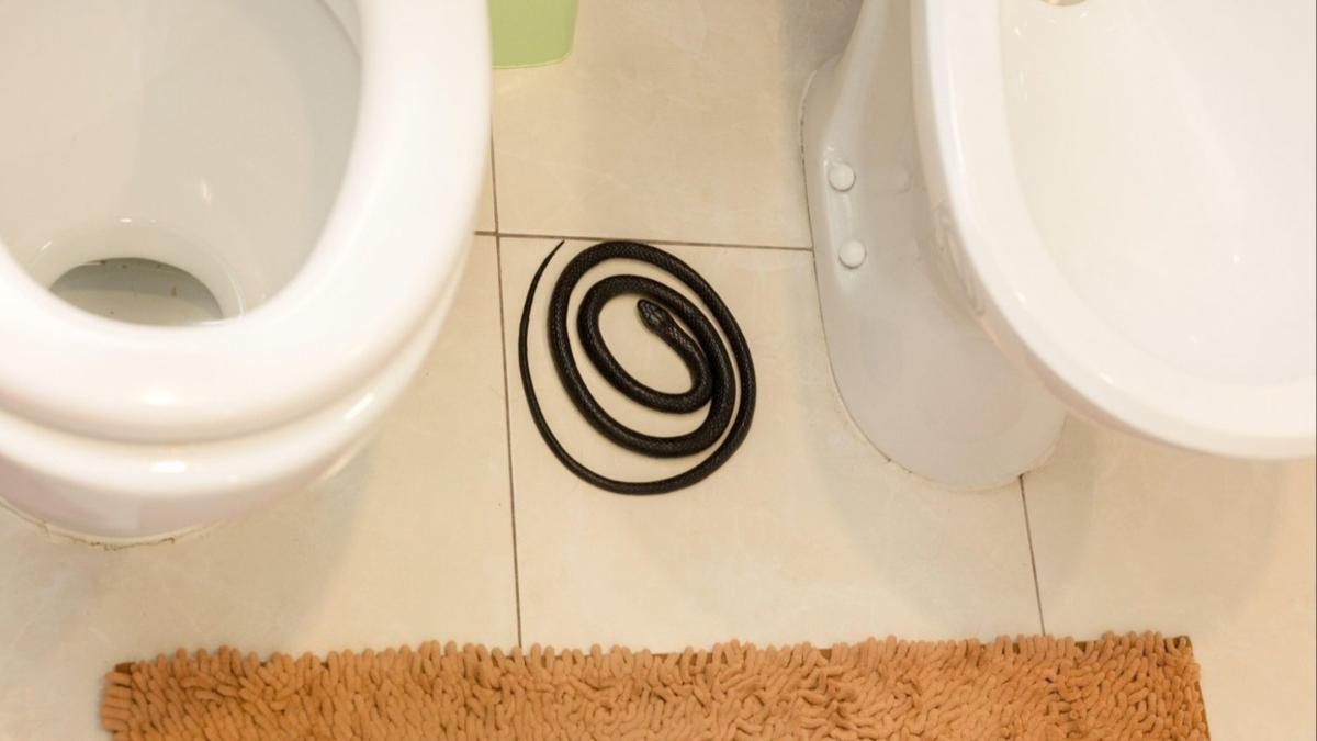 ramnicu valcea jandarmi baie casa sarpe