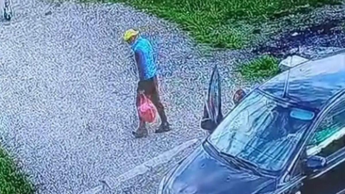 candidati pnl consiliul local valea mare olt filmat sacose mancare