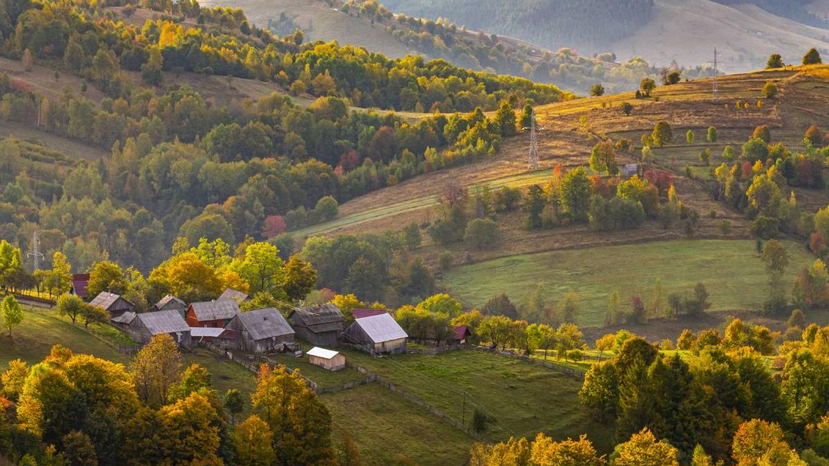 casa romania locuiesc 7000 de ucraineni varfu campului botosani