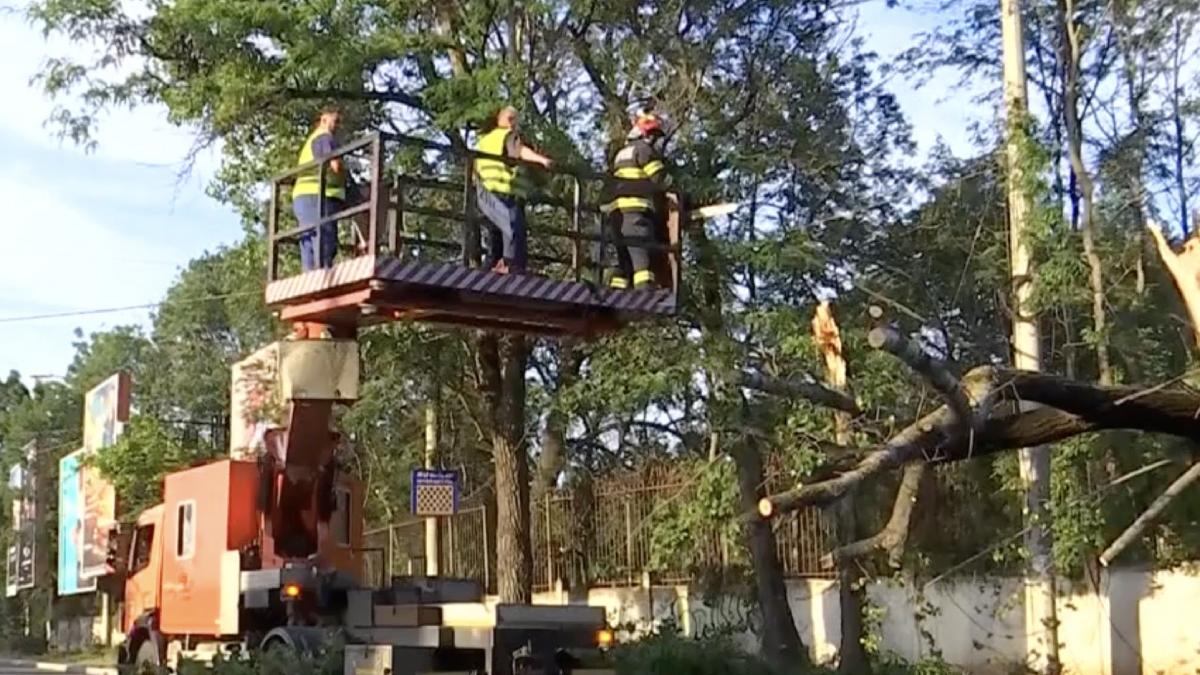 linia 41 tramvai bucuresti blocata complet copac cazut 24 mai 2024