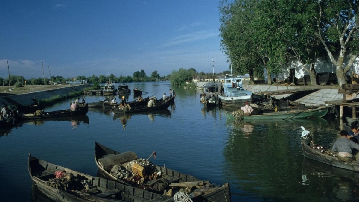 obligatii noi pescari comerciali delta dunarii conditii permis pescuit
