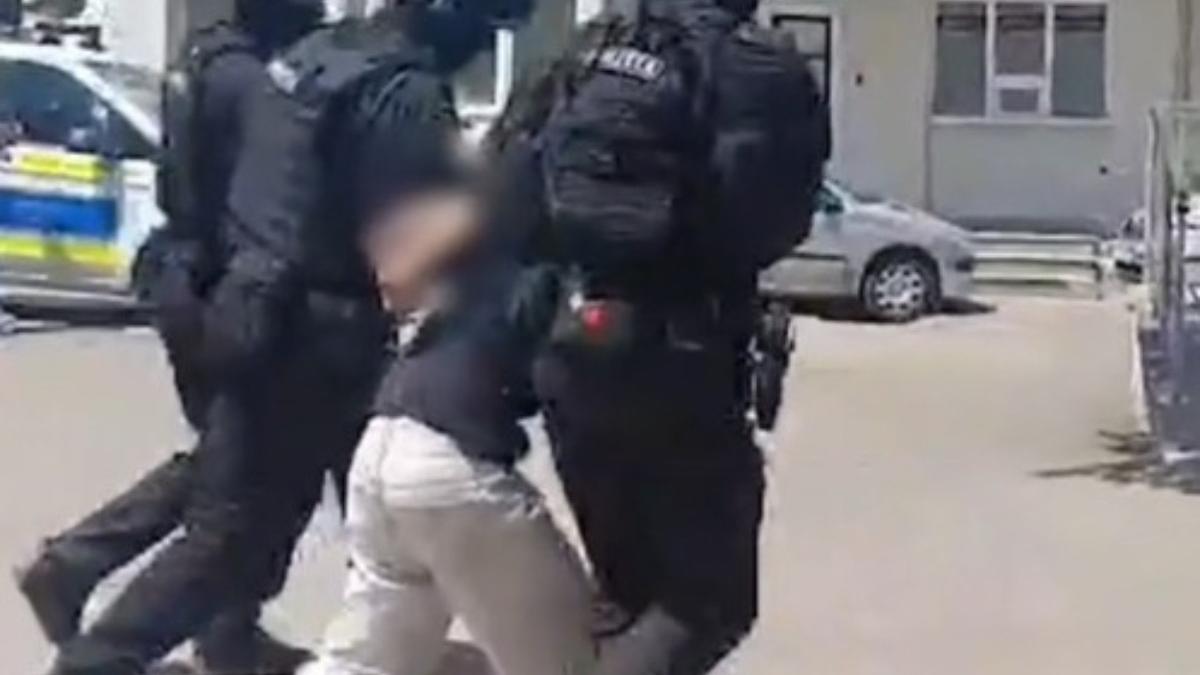 declaratie criminal fetita 8 ani botosani