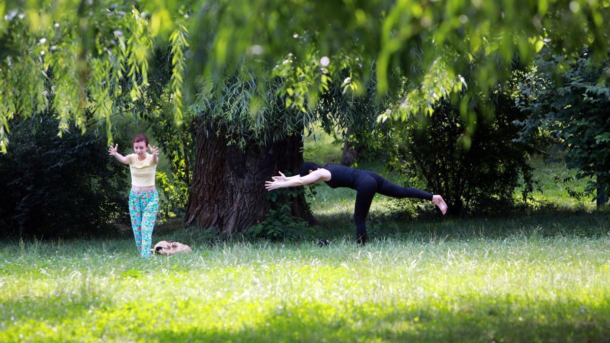 invazie capuse sfaturi medici