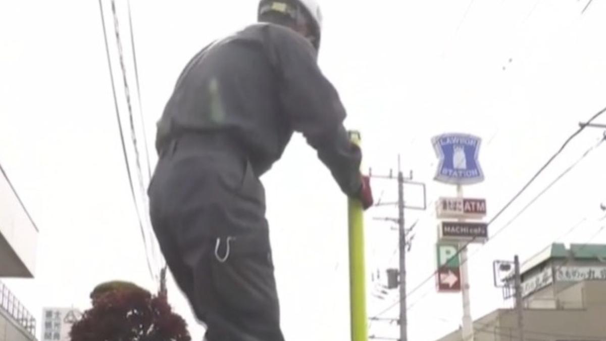 masura autoritati japoneze gard urias muntele fuji