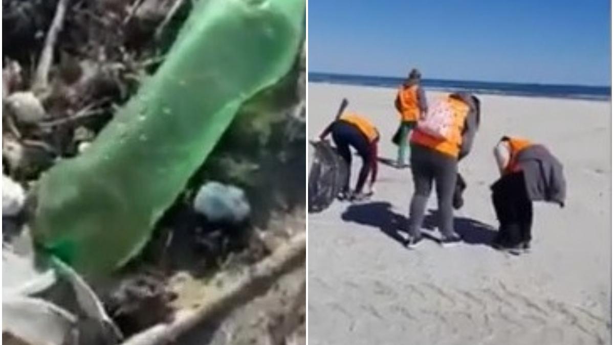 poluare deseuri plastice marea neagra