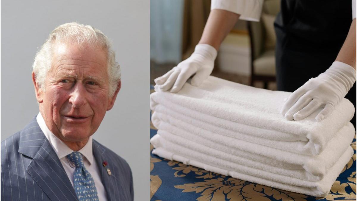 resedinta londra regele charles