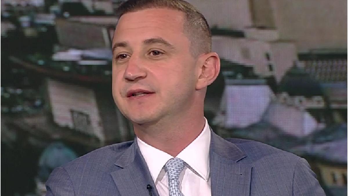 alfred simonis alegeri cosiliul judetean timis