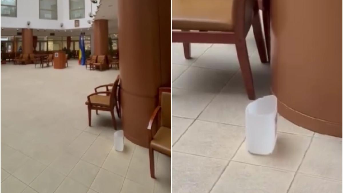 lighean apa primaria sectorului 2